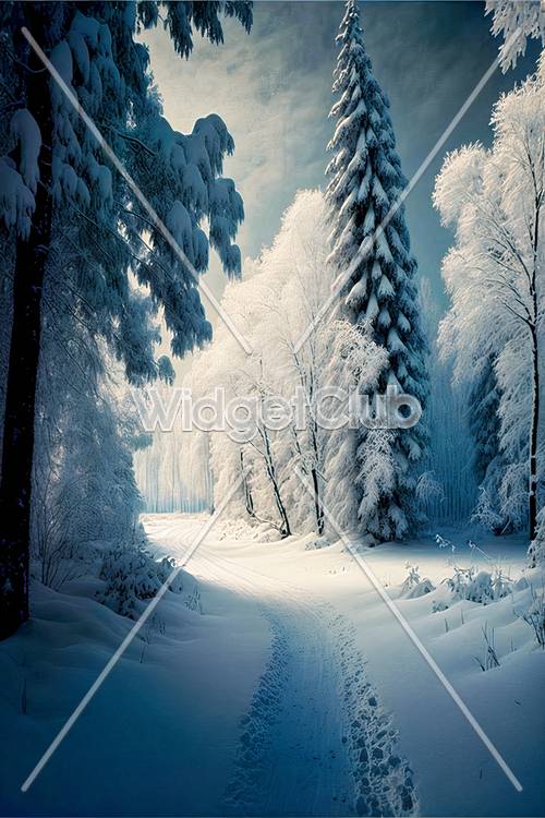 Winter Wonderland Forest Path Tapet [0224a02d2e9f424a937d]