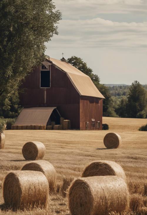 A country scene of a brown barn with hay bales in front Tapéta [9766ebe853d241ac9493]