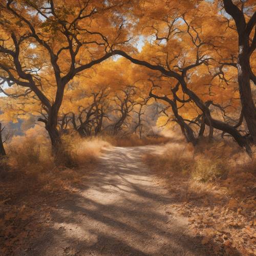 Ein malerischer Radweg mit Herbstlaub im Lost Maples State Natural Area.