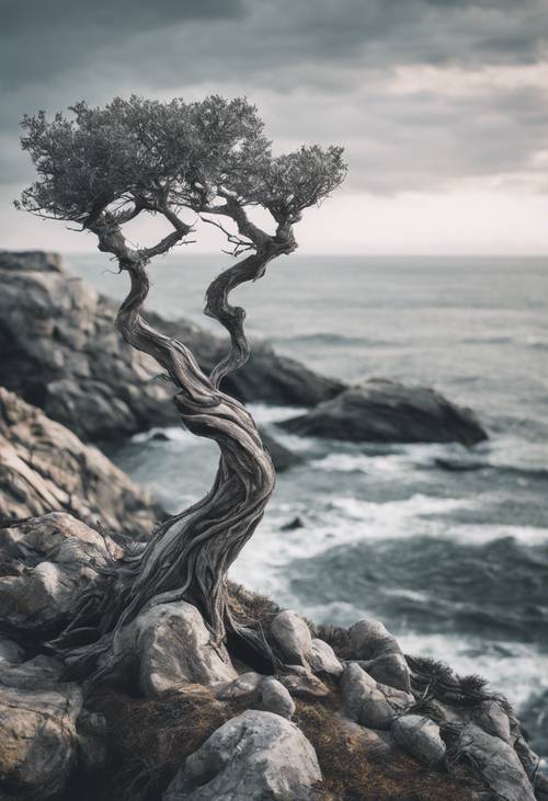 一棵扭曲的灰色樹獨自生長在岩石海岸線上。