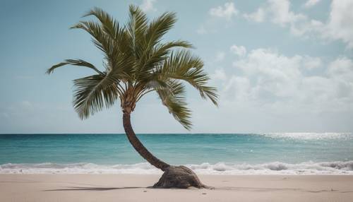 An isolated, bent palm tree on a deserted beach, demonstrating resilience in adversity. Tapeta [b3663f4f12504e959782]