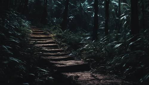 Un chemin mystérieux zigzaguant à travers une jungle noire, sombre et impénétrable, au cœur de la nuit.