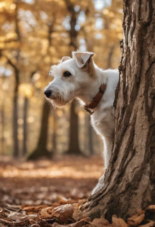 A white fox terrier provoking a brown squirrel on a tall oak tree in an autumn forest. Tapet [87eb51fd66f44c1e8b3e]
