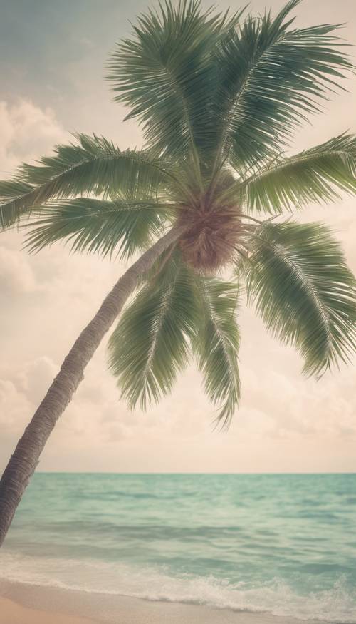 עץ דקל באווירת חוף טרופית, מעובד בצבעי וינטג&#39; רכים ופסטליים.