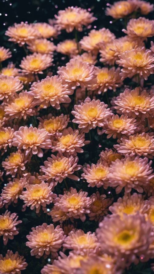 Spectacle of chrysanthemums as fireworks in a nighttime cityscape.