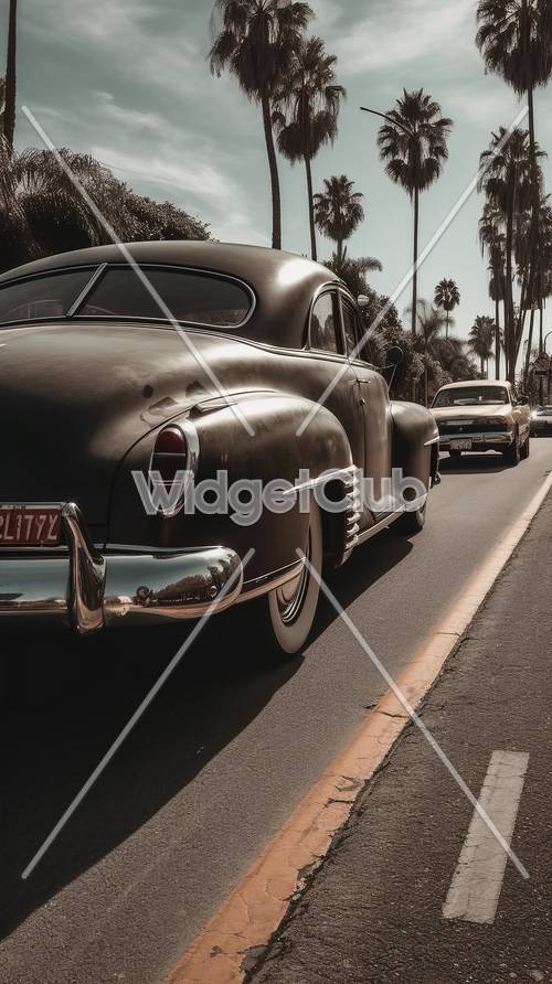 Vintage Cars on a Sunny Street