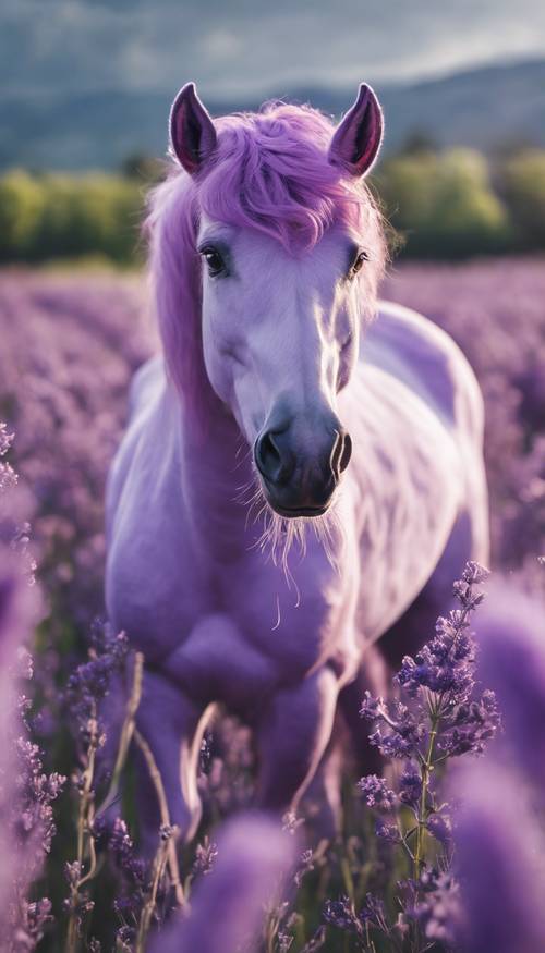 Seekor unicorn ungu di ladang lavender pada siang hari. Wallpaper [8738d64984204231ab8b]