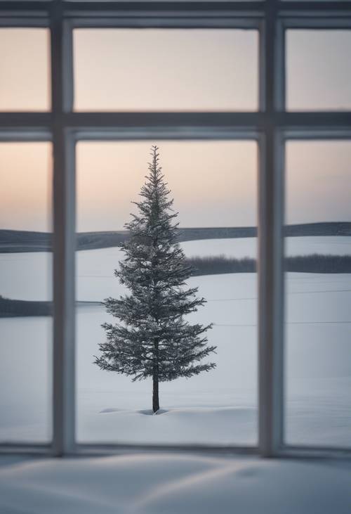 Un albero di Natale solitario in un campo innevato, visto attraverso una finestra minimalista