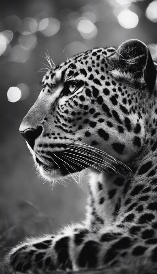 A large leopard roaming quietly in the night, its fur a vivid black and white print.