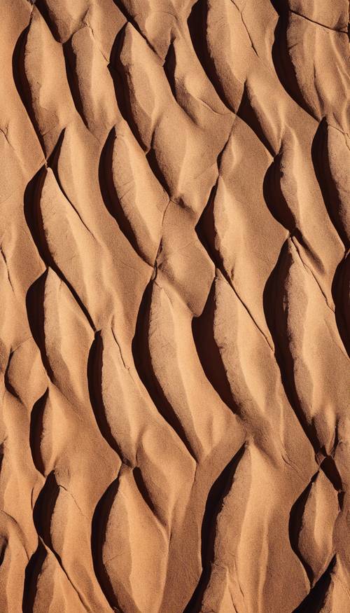 ภาพระยะใกล้ของหินทรายท่ามกลางแสงแดดอันเจิดจ้าของทะเลทราย เผยให้เห็นลวดลายอันประณีตและโทนสีอันอบอุ่น