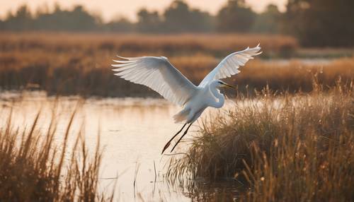 Dynamic scene of a white heron taking flight from a marshland at dawn.