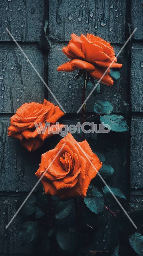 Roses oranges sur des carreaux sombres et humides