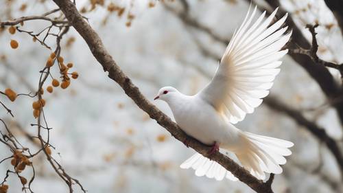 흰색 비둘기가 나뭇가지에 앉아 흰색 미니멀한 배경 앞에 날개를 펼쳤습니다.