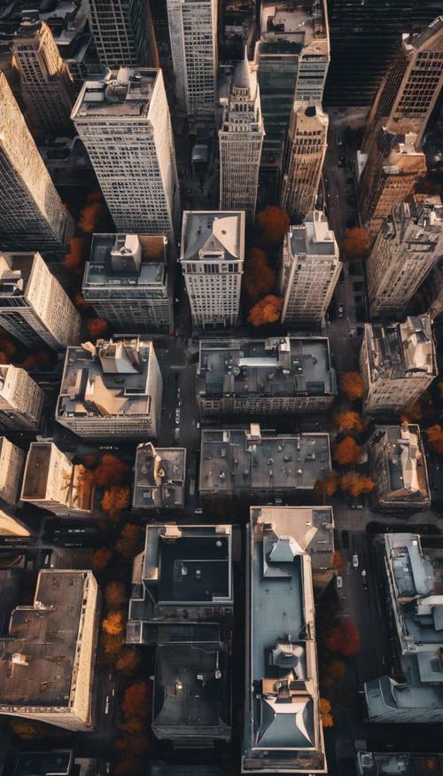 An overhead view of Montreal city at dawn showcasing the combination of historic stone-walled buildings and modern skyscrapers. Tapetai [b004135cb25641c3bba7]