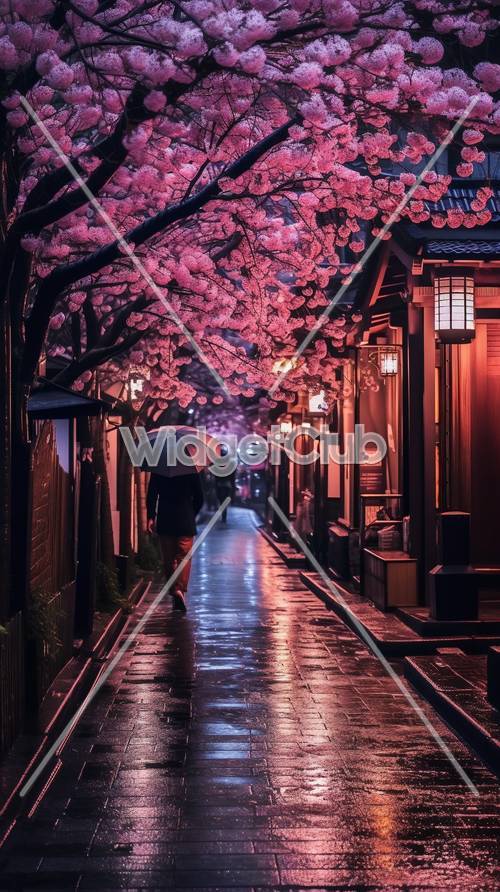 京都での夕方の桜の散歩