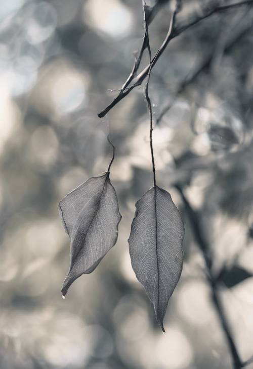 Due foglie grigie aggrappate ad uno spago in una leggera brezza.