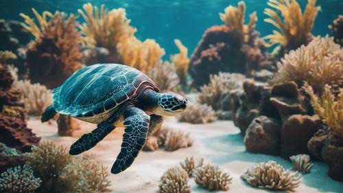 一片宁静的水下景观，一只棱皮海龟在一群热带鱼中缓慢游动。