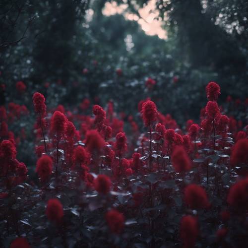 Taman misterius yang diterangi cahaya bulan dengan bunga darah merah tua yang mekar penuh.