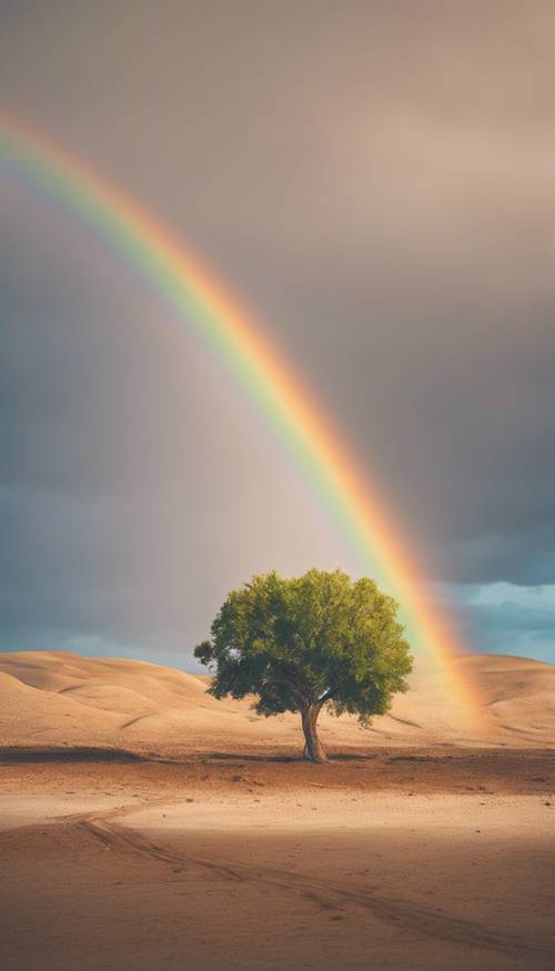 在茫茫沙漠中，一棵孤獨的樹矗立在中性色的彩虹下。