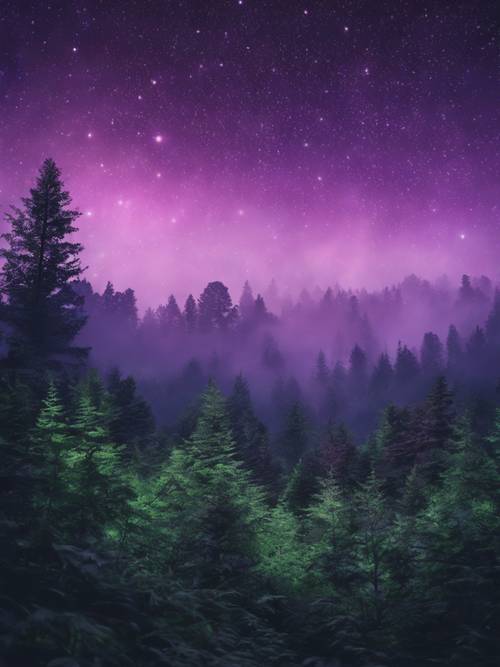 Hutan lebat misterius di bawah langit senja berbintang, kabut ungu dan hijau bersinar melayang di atasnya.