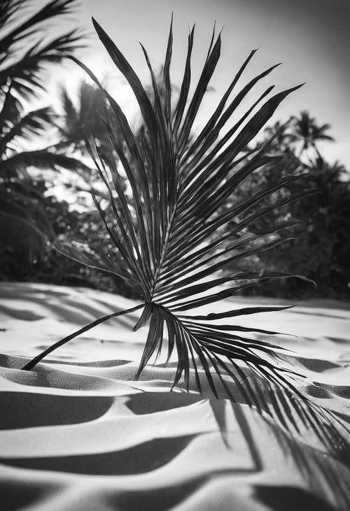 Một chiếc lá cọ nằm yên trên bãi cát mềm, được chụp đen trắng.