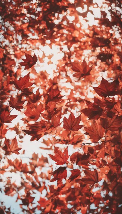 Abstrakcyjny obraz przedstawiający wirujące czerwone i brązowe jesienne liście na tle porannego nieba.