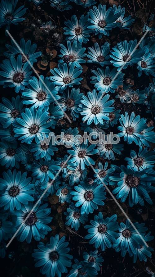Blue Daisy Wallpaper [4e61db58ee2747ff8016]