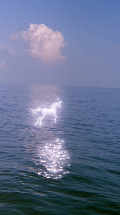 海邊的神奇白馬
