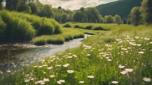 Ein friedlicher Bach schlängelt sich durch eine üppige Frühlingswiese, die grasbewachsenen Ufer sind mit Blumen übersät.