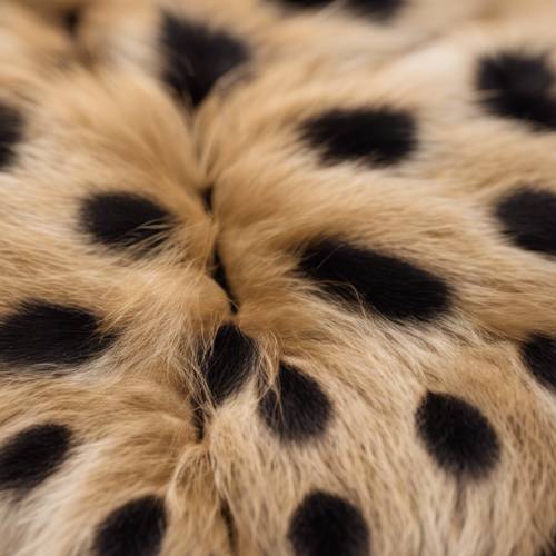 Zoomed in detail of cheetah fur, highlighting the individual hairs in dark spots on a tan background. Tapet [285ea2181e014f698469]