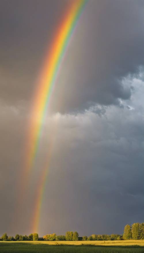 A clear rainbow bisecting the sky immediately after a dramatic, late summer thunderstorm.