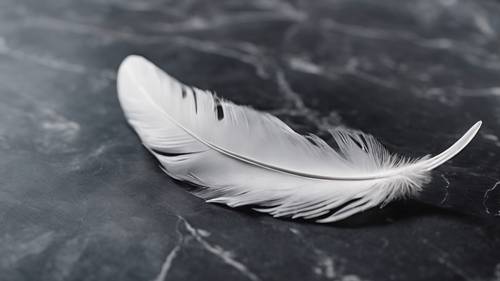 A white feather lightly resting on a black marble surface.