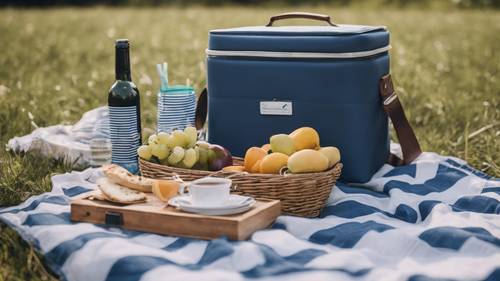 Un arreglo de picnic de muy buen gusto en una pradera cubierta de hierba, con una manta de picnic a rayas azules y blancas y una hielera a juego.