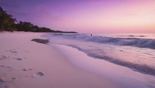 Senja ungu sejuk turun di atas pantai putih bersih.