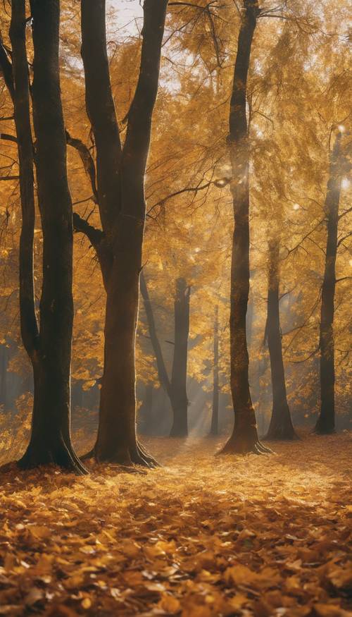 A tranquil autumn forest with the light filtering through the vibrant golden leaves.