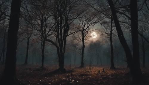 An atmospheric blackened woodland scene with a glimpse of a crescent moon.