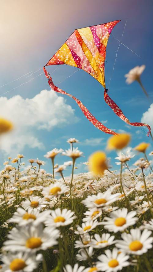一只色彩斑斓的风筝在天空中高高飞翔，飞过一片雏菊花毯。