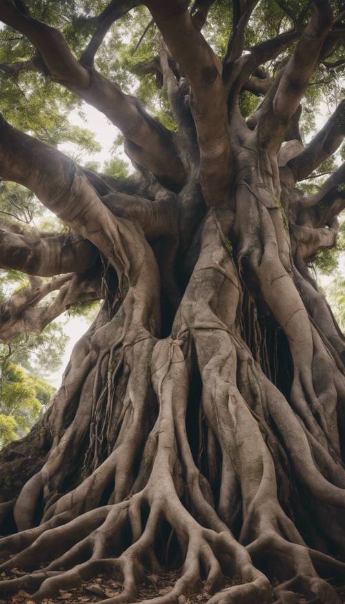 An ancient banyan tree, its extensive roots tumbling over a weathered stone wall, in the heart of a bustling Indian market.