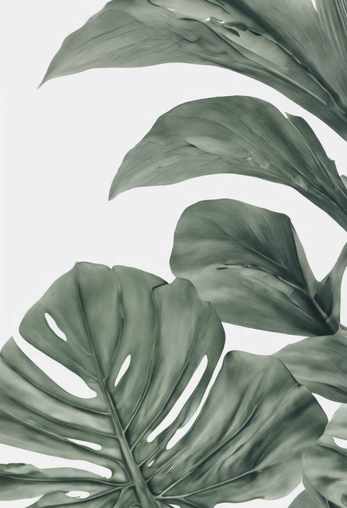 Folhas tropicais verde-sálvia em camadas artisticamente contra um fundo branco neutro