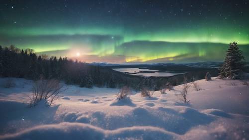 北极光下一片宁静的雪景，天空中闪烁着一句话：“我们停止为他人而战的那一天，就是我们失去人性的那一天”。