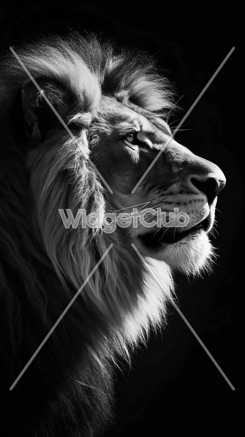 Величественный лев в черно-белом цвете