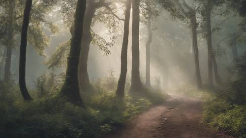 Un camino trillado a través de un bosque arcaico con una cita sobre la resiliencia que aparece en la niebla de la mañana.