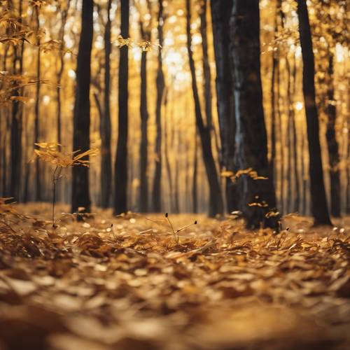 Abstrakter Eindruck eines goldenen Waldes im Herbst.