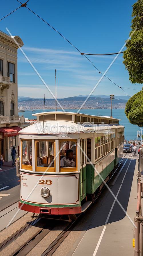 Scenic Trolley Ride by the Bay