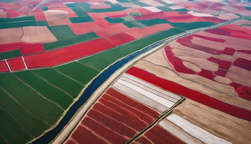 An aerial view of red and white checkered agricultural fields separated by a winding river. Tapet [e39794c21b02454cb32a]