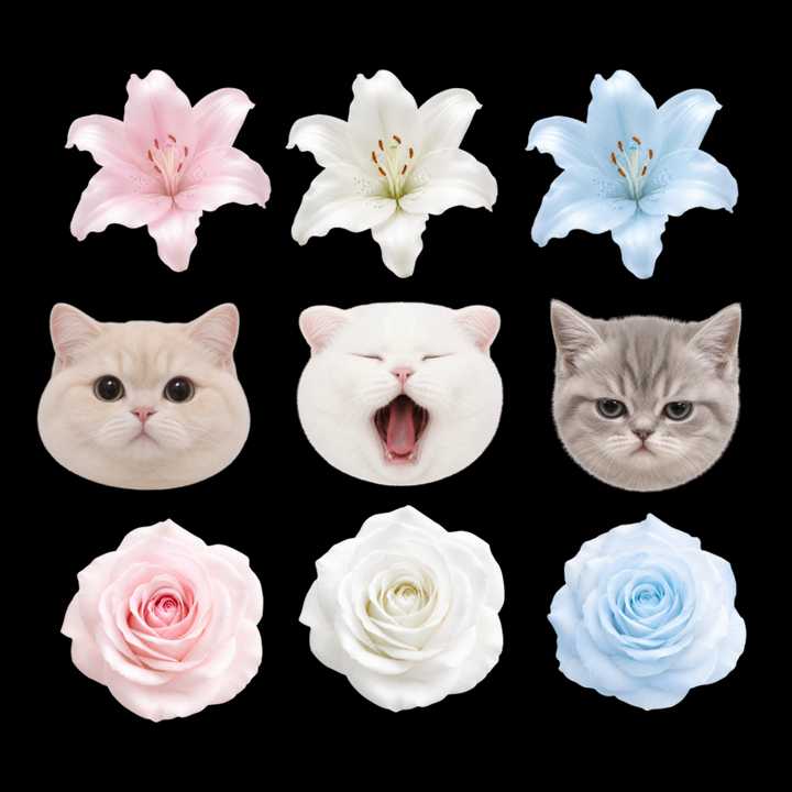 download image