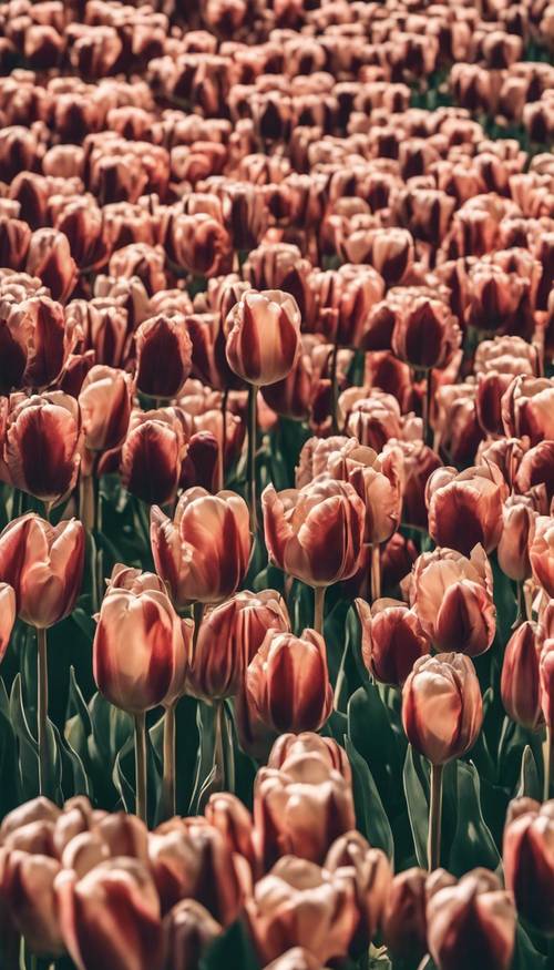 Тюльпаны разных тонов одного цвета создают эффект градиентной полосы.