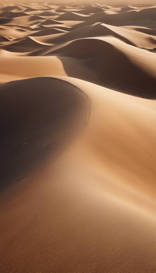 Una vista aérea de una duna del desierto hecha enteramente de fino brillo marrón.