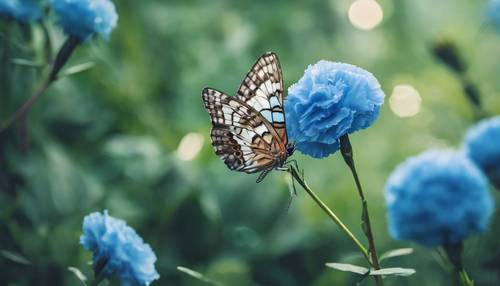 A butterfly perched on a blue carnation in a lush green garden.