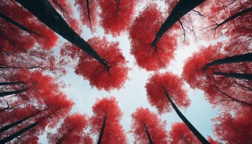 Fly view of a magical red forest, the tops of tall trees covered in crimson leaves